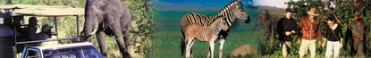 Game Drives along the Garden Route